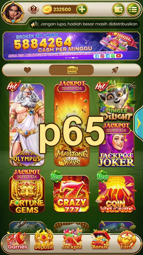 p65 APK