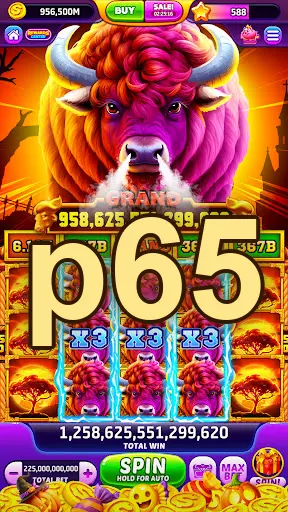p65 Mag-login